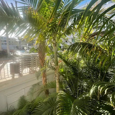 The Broncemar Apartments With Facilities Playa Del Ingles *